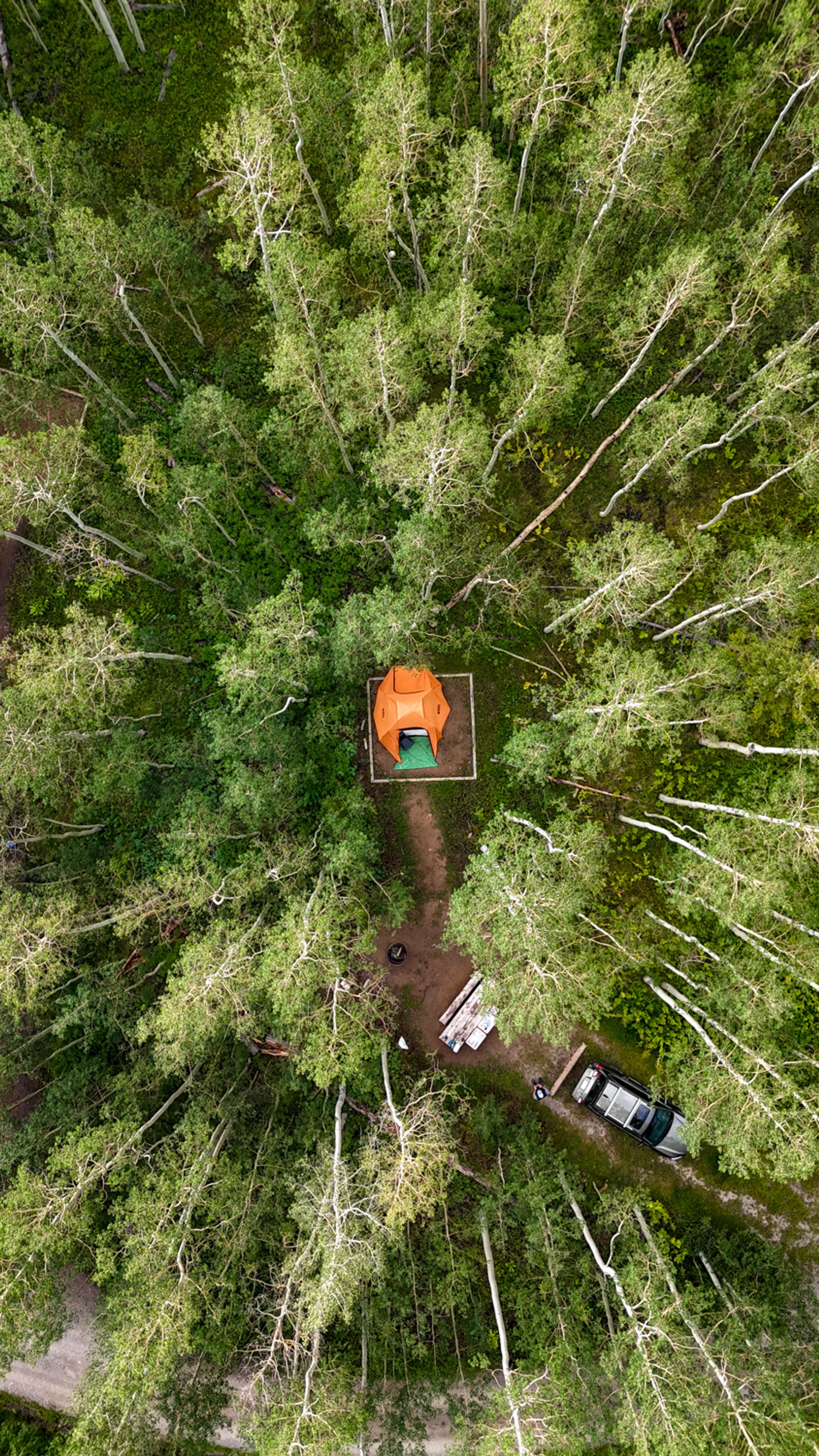 Tent in Aspens from Above VERTICAL